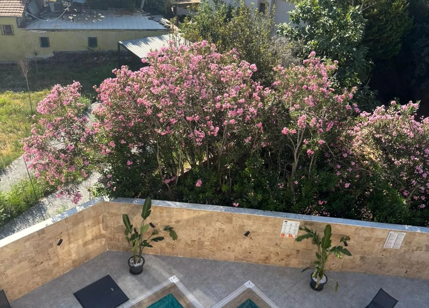 Zeus Otel Kusadası